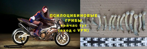гашик Абдулино