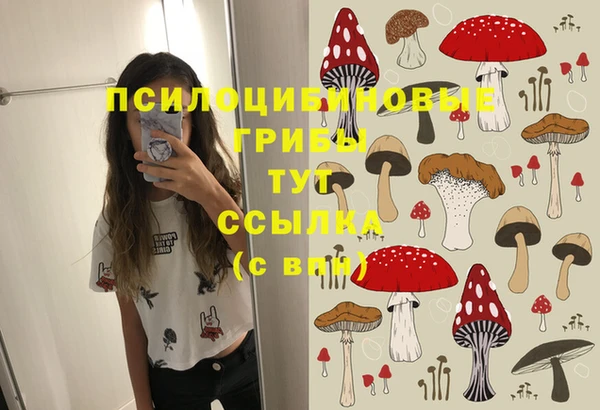 трава Абаза