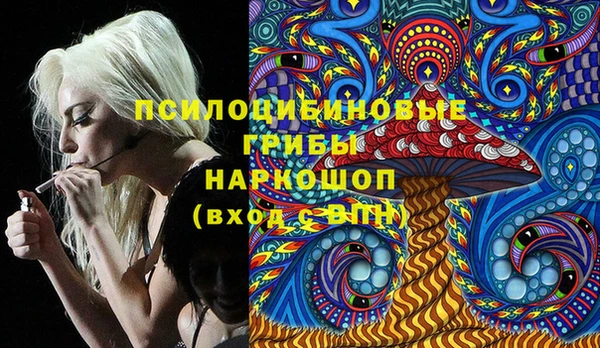трава Абаза