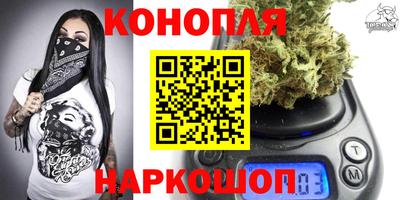 прущие грибы Абакан