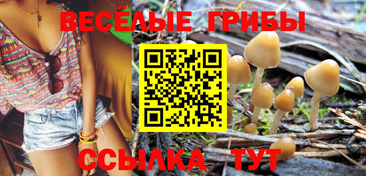 Псилоцибиновые грибы ЛСД  Галлюциногенные грибы мицелий  Александров  Вход с VPN 